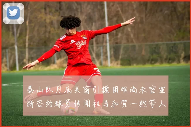 泰山队月底关窗引援困难尚未官宣新签约球员传闻祖马和贺一然等人