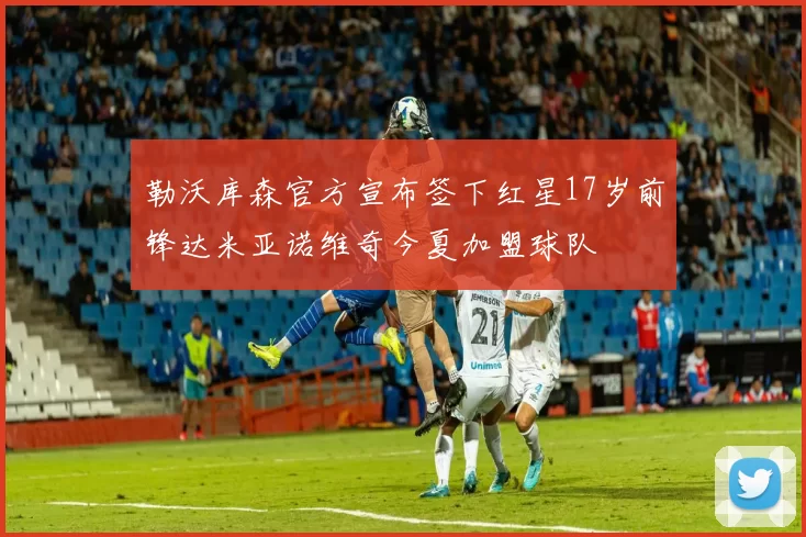 勒沃库森官方宣布签下红星17岁前锋达米亚诺维奇今夏加盟球队